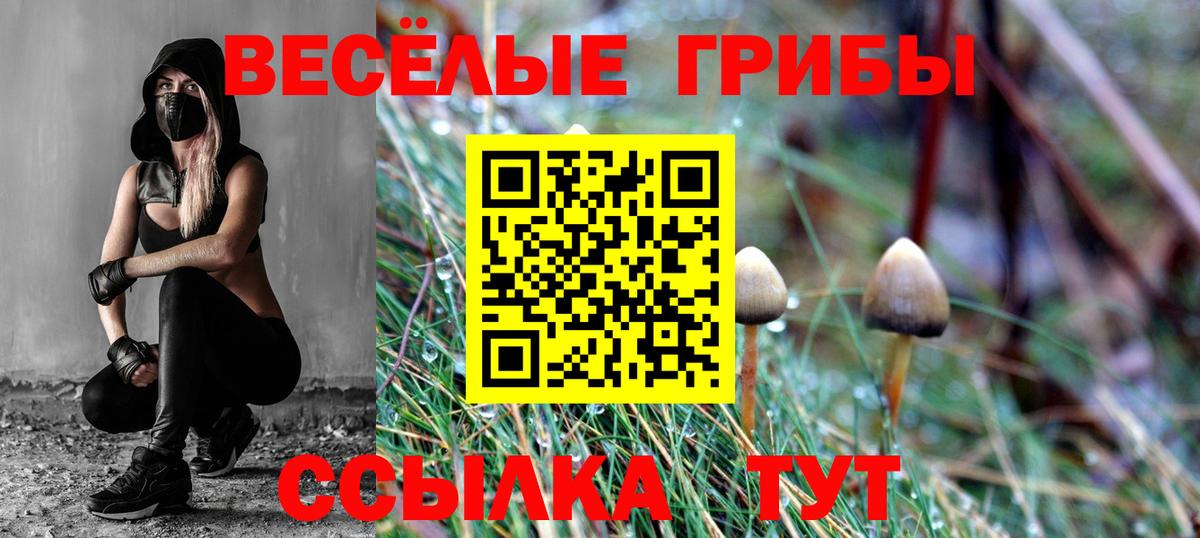 Псилоцибиновые грибы прущие грибы Сердобск